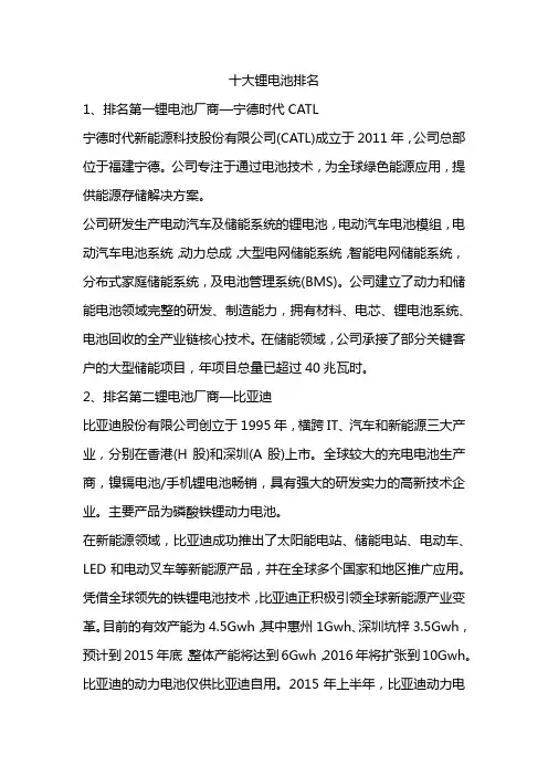 十大锂电池排名 2