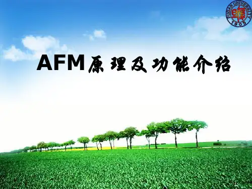 AFM原理及功能介绍