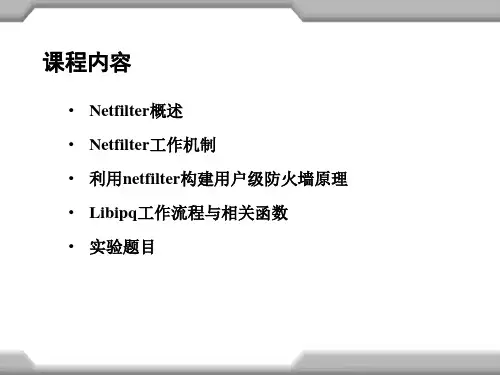 利用netfilter构建用户态防火墙-23页文档资料