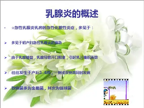 急性乳腺炎的护理ppt课件