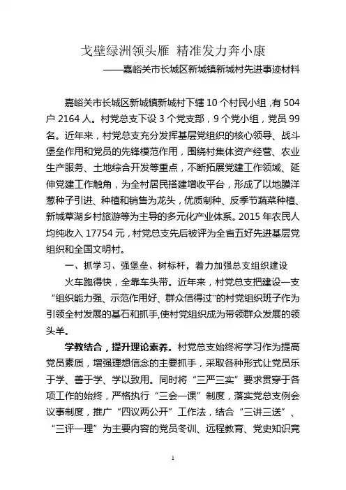 全省先进基层党组织事迹材料—新城村(定)