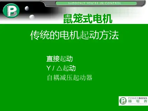 鼠笼式电机