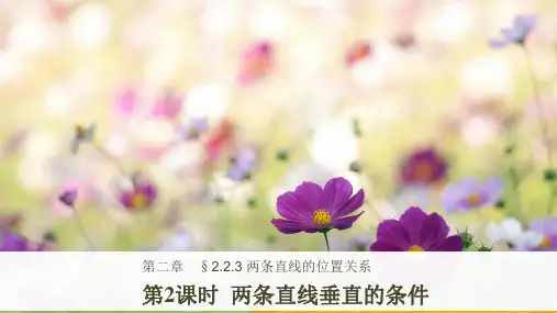2018-2019版高中数学人教B版必修二课件:第二单元 2.2.3 第2课时 两条直线垂直的条件