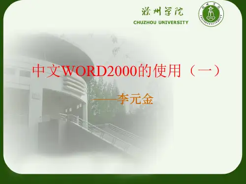中文WORD2000的使用(一)