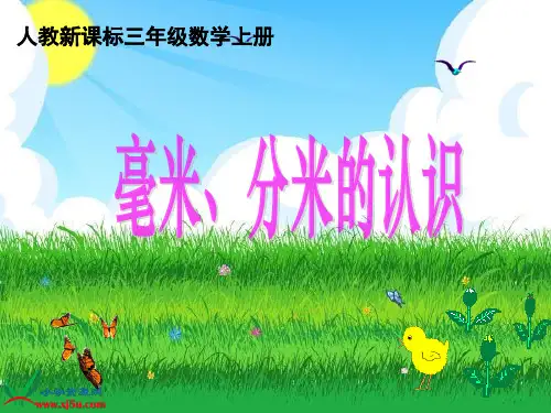 (人教新课标)三年级数学上册课件 毫米、分米的认识 2