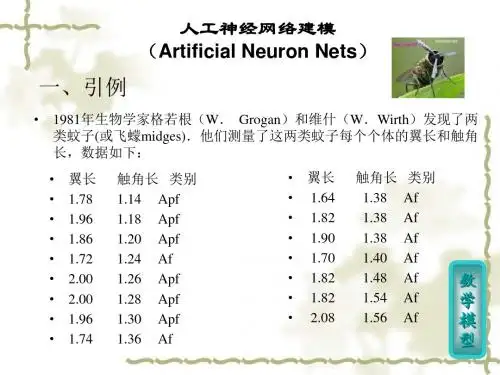 人工神经网络