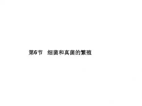 七年级科学下册课件第1章：第6节 细菌和真菌的繁殖(共22张PPT)