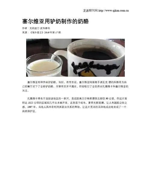 塞尔维亚用驴奶制作的奶酪