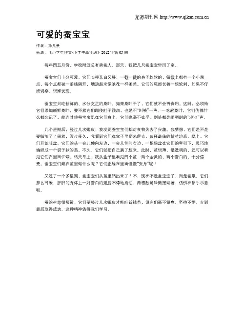 可爱的蚕宝宝 2