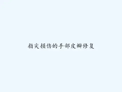 指尖损伤的手部皮瓣修复 PPT