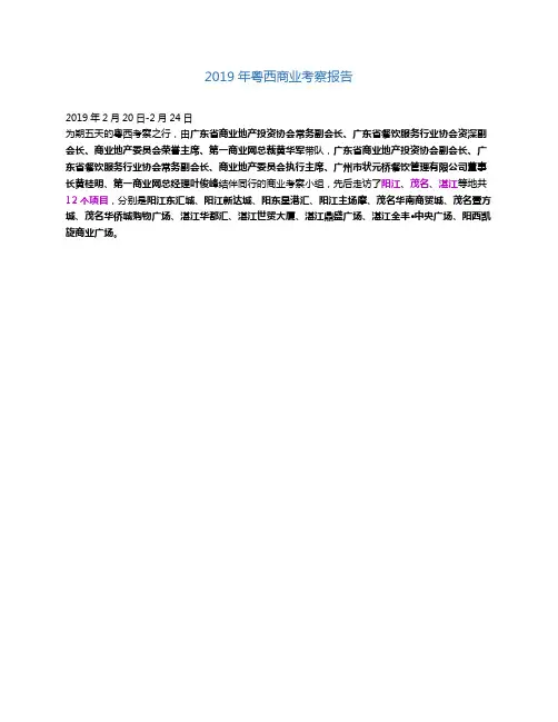 2019年粤西商业考察报告