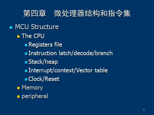 单片机飞思卡尔微处理器和指令集