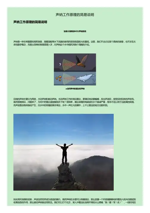 声纳工作原理的简易说明