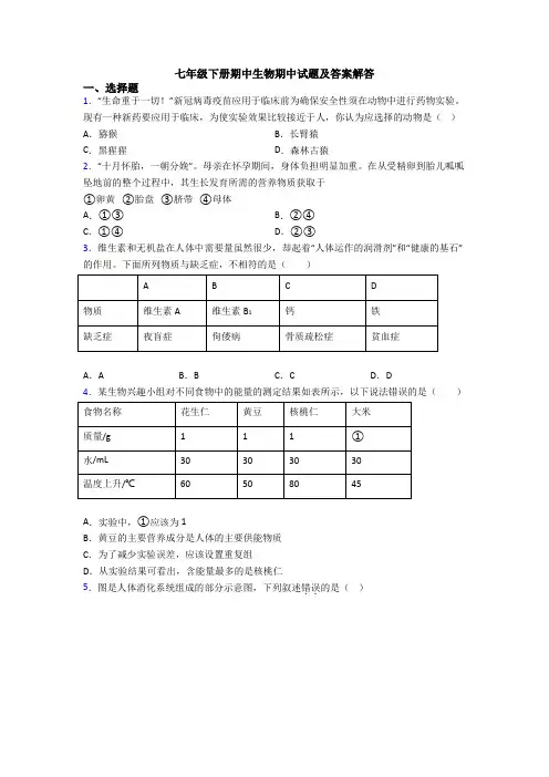 七年级下册期中生物期中试题及答案解答