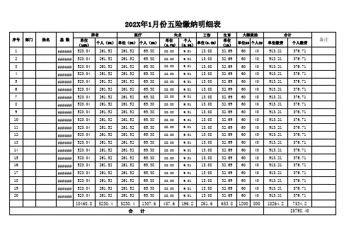 td-社保缴费明细表