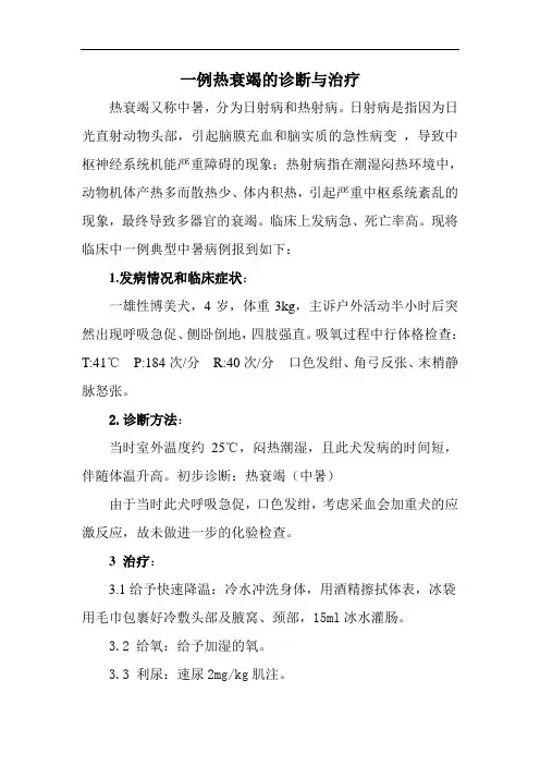 犬热衰竭的诊断与治疗