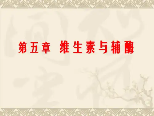 生物化学--第五章 维生素与辅酶