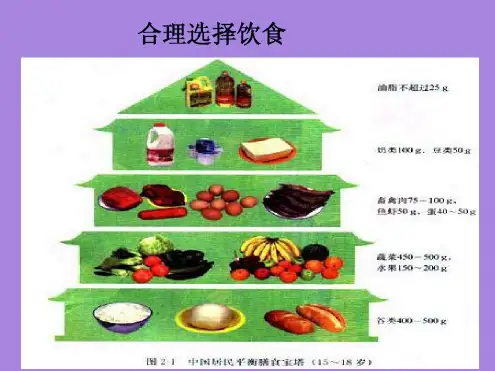 新课标人教版高中化学选修1化学与生活PPT课件合理的选择饮食