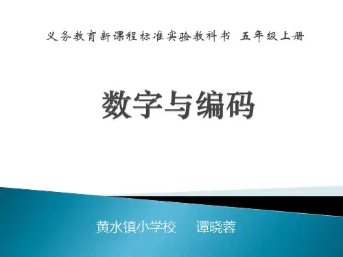 数字与编码