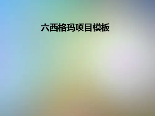 六西格玛项目模板