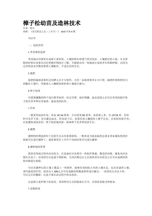 樟子松幼苗及造林技术 2