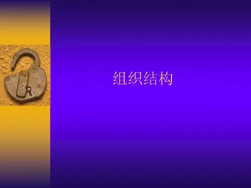 管理学:组织结构