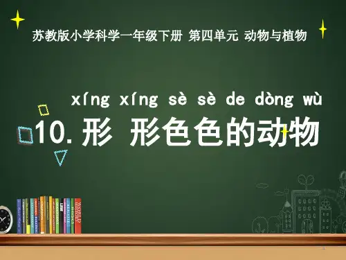 2018苏教版一年级下册科学第10课形形色色的动物课件