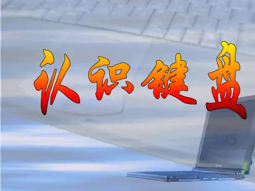 简单培训键盘使用方法(PPT43页)
