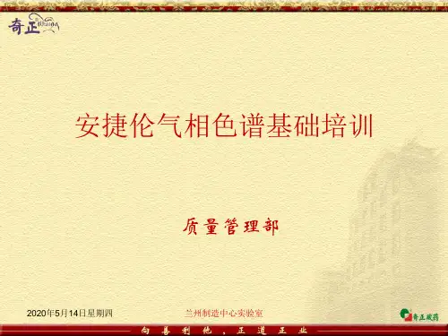 安捷伦气相色谱基础培训资料