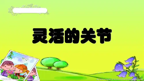 关节 ppt课件