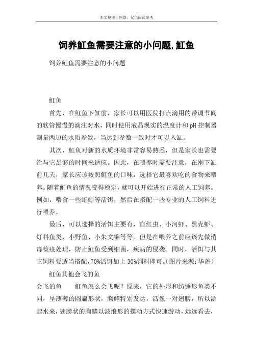 饲养魟鱼需要注意的小问题,魟鱼