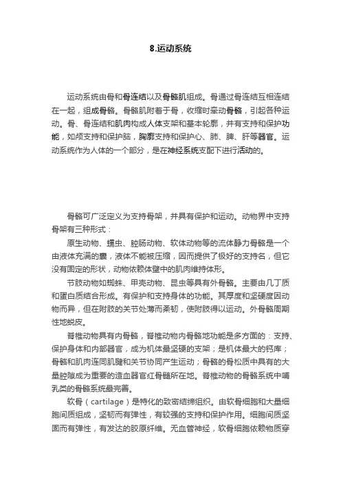 8.运动系统