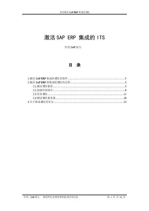 sap配置WEB模式