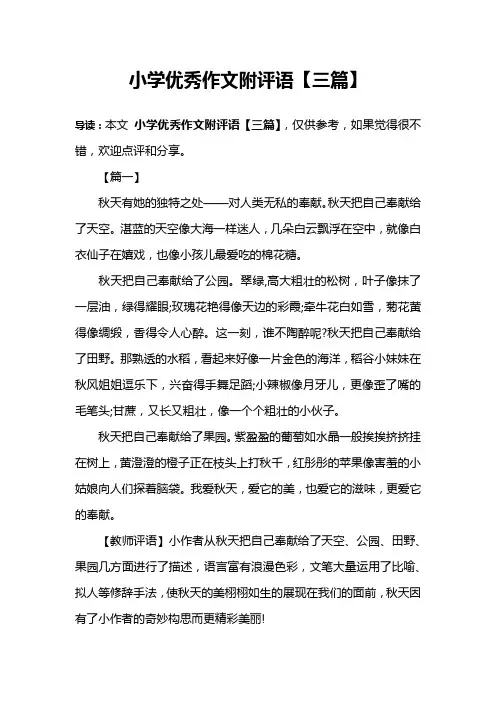 小学优秀作文附评语【三篇】