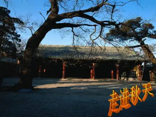故都的秋(1)(1)方案