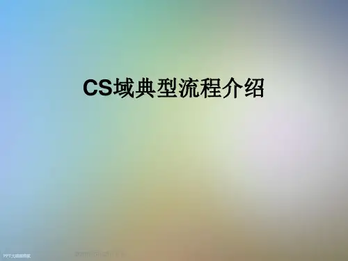 CS域典型流程介绍