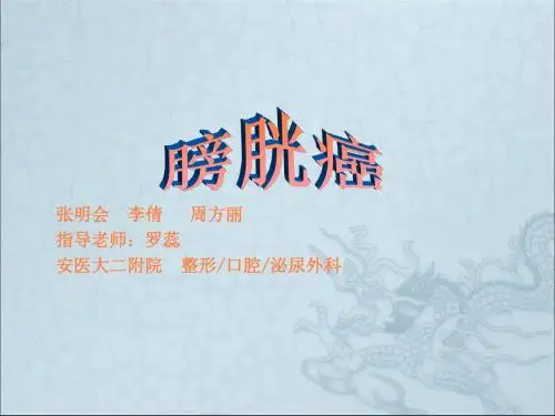 膀胱癌 业务学习ppt课件