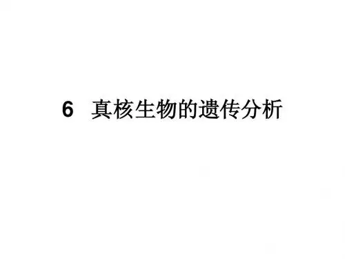 6.真核生物的遗传分析1