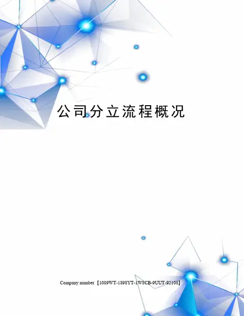 公司分立流程概况