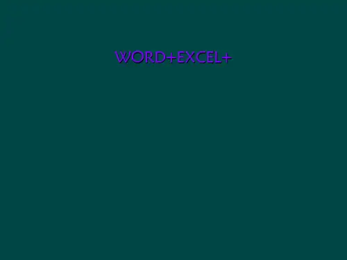 WORD+EXCEL+