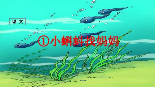 部编版二年级上册第一课小蝌蚪找妈妈