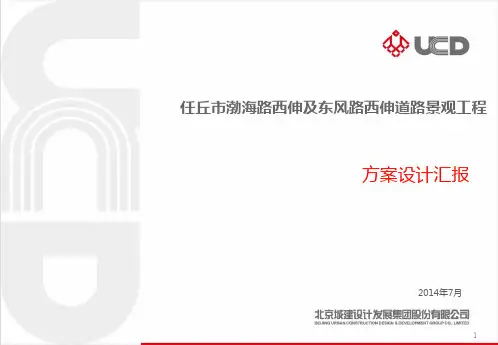 任丘道路景观方案汇报PPT