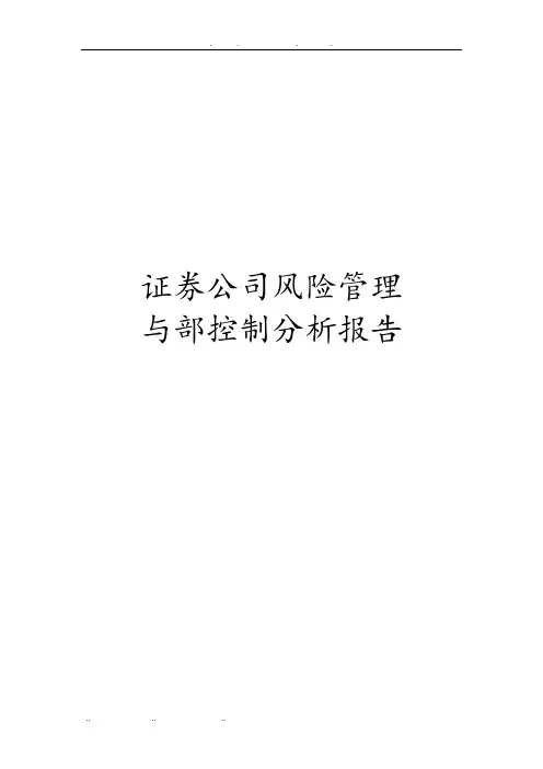 证券公司风险管理与内部控制分析报告文案
