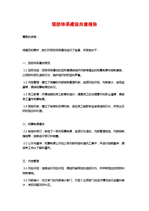 惩防体系建设自查报告 (2)
