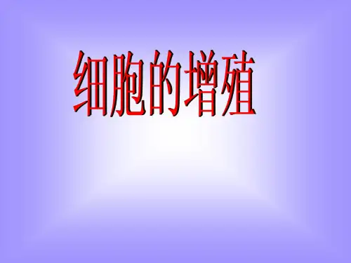细胞的增值