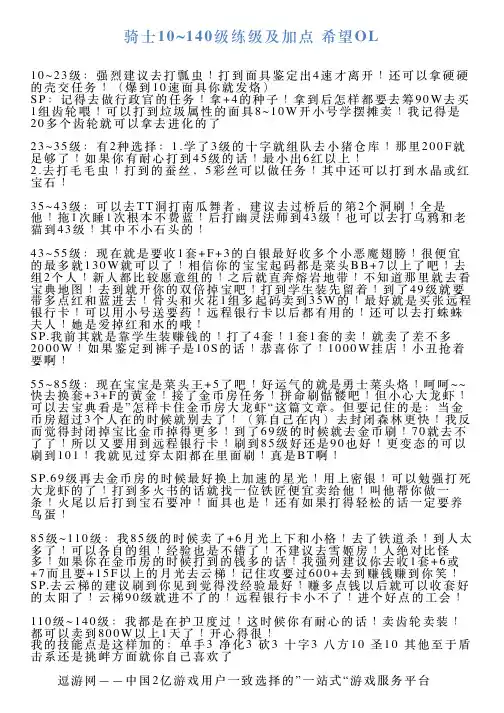 骑士10140级练级及加点希望OL