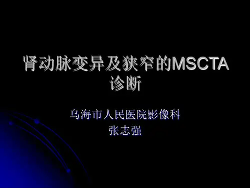 肾动脉的MSCTA诊断