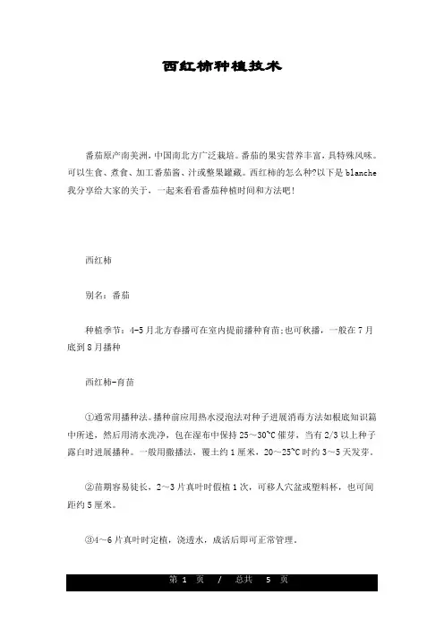西红柿种植技术详细版