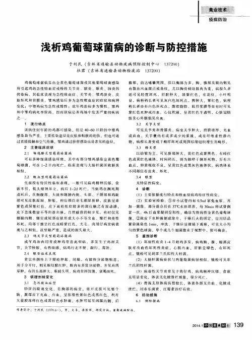 浅析鸡葡萄球菌病的诊断与防控措施