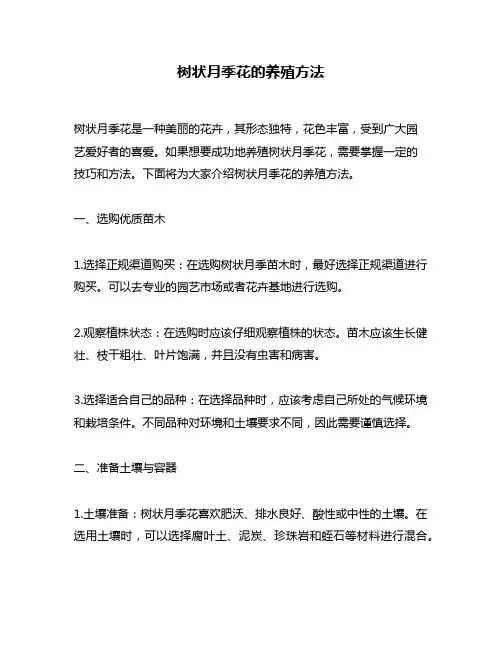 树状月季花的养殖方法